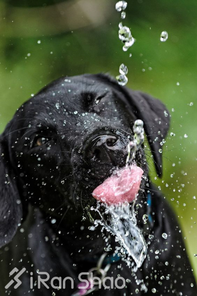 当我们谈论运动饮料的时候，我们在讨论什么