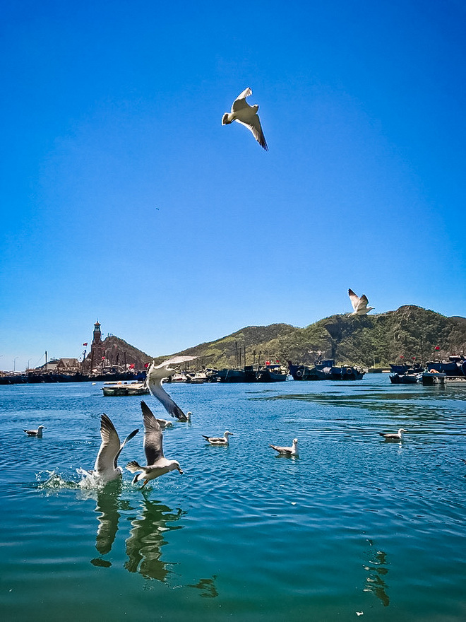 大马赛记 | 逛吃逛吃又一城