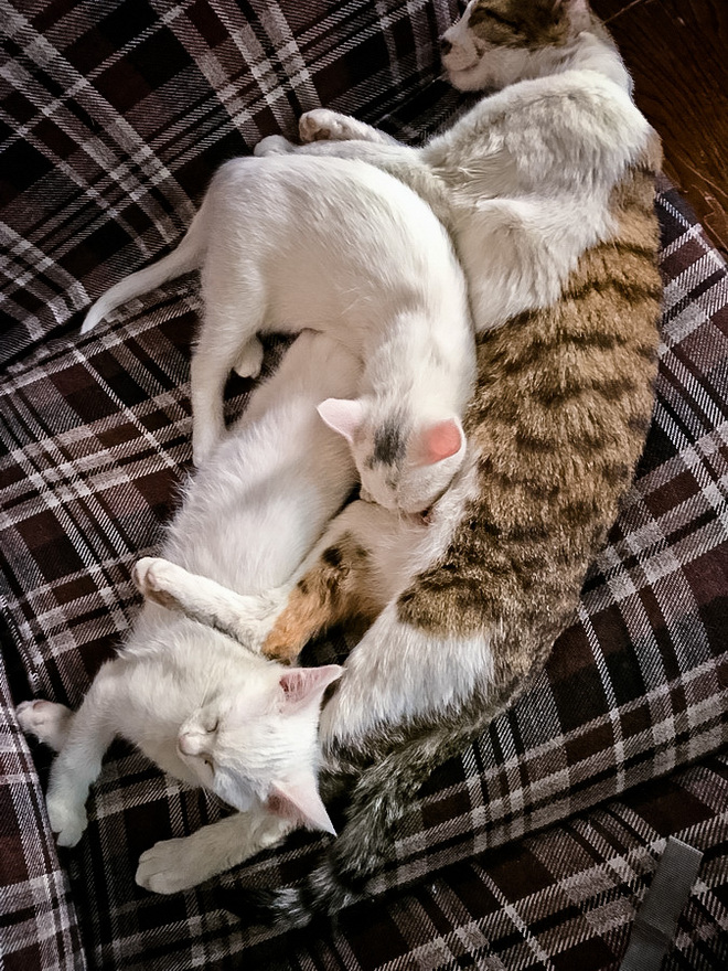 大马赛记 | 逛吃逛吃又一城