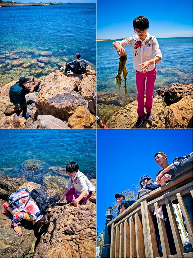 大马赛记 | 逛吃逛吃又一城