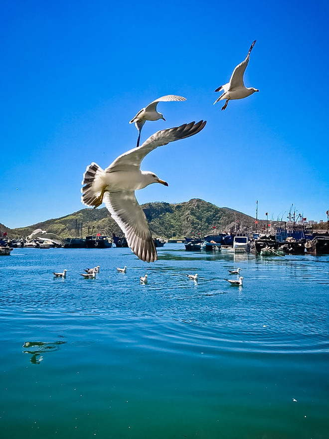 大马赛记 | 逛吃逛吃又一城