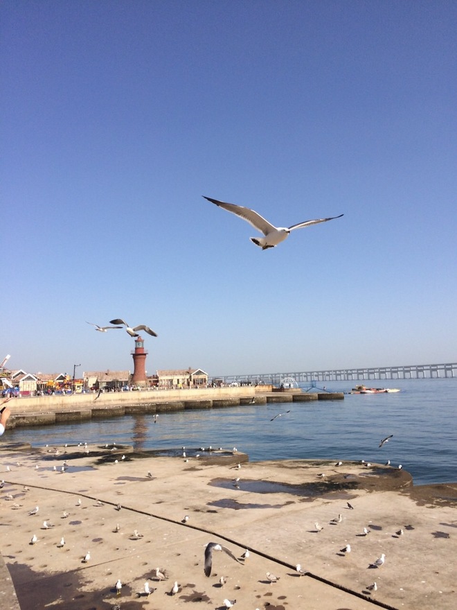 用360度激情点燃大马30周年