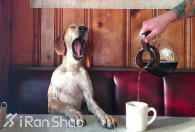 当我们谈论运动饮料的时候，我们在讨论什么