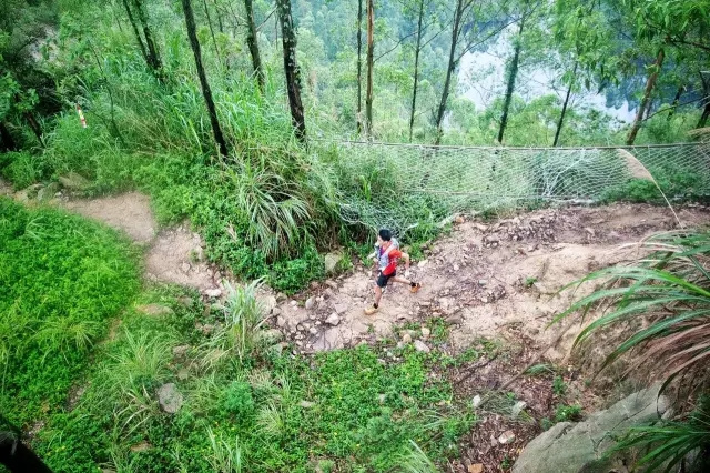 UTCT系列赛 | 龙洞越野赛就在本周末！准备好雨战玩泥巴了吗？