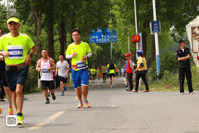 跑圩马     我的2017大圩马拉松见闻