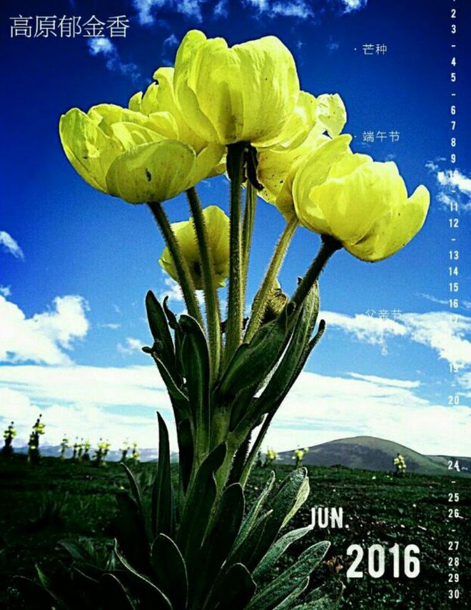 2017年6月11日——父亲，我们回家了