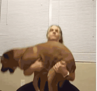 热点 | 不举铁改举狗 你们外国人真会玩