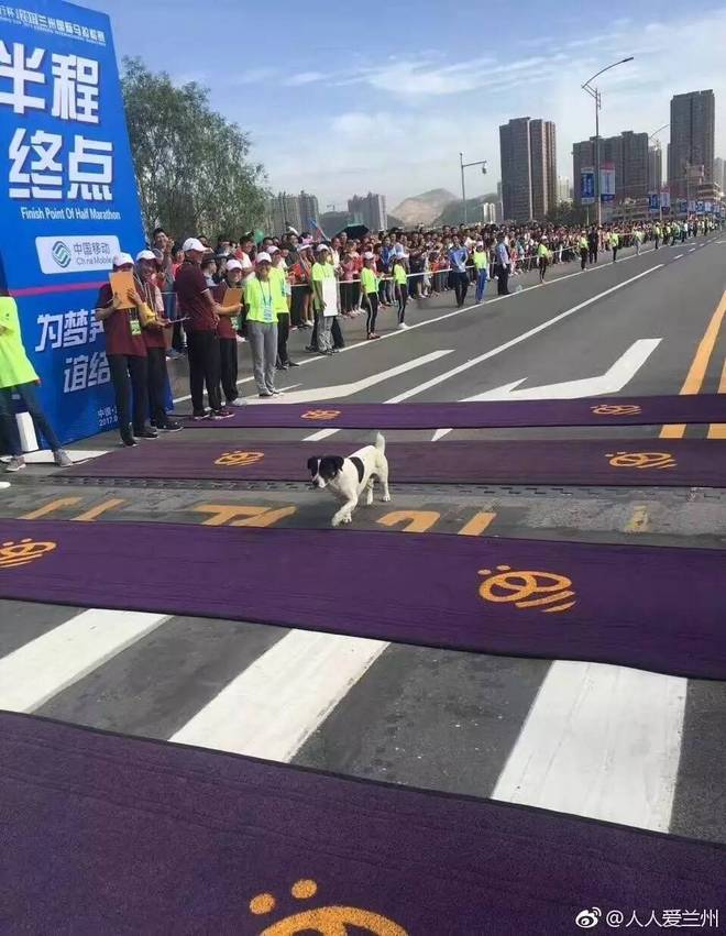 骄阳下 “兰”得经历一次荡气回肠的全城狂欢——2017兰州马拉松