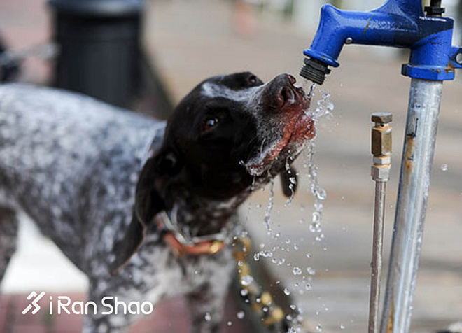 经验 | 黑练不练黑 夏日跑步的正确姿势
