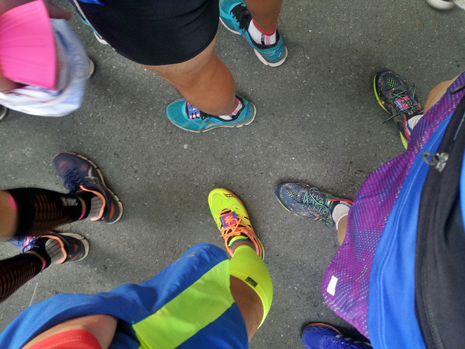 走马观花带你看兰马