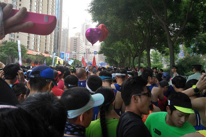 走马观花带你看兰马