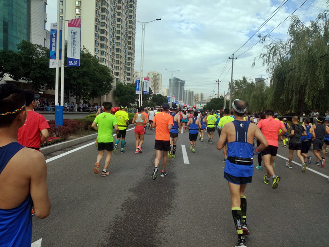 走马观花带你看兰马