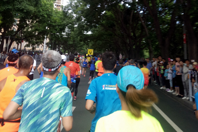 走马观花带你看兰马