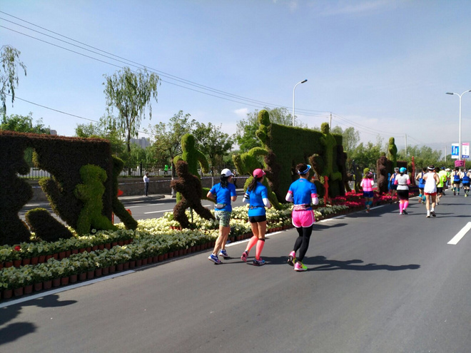 有茶清待客 无事跑兰马