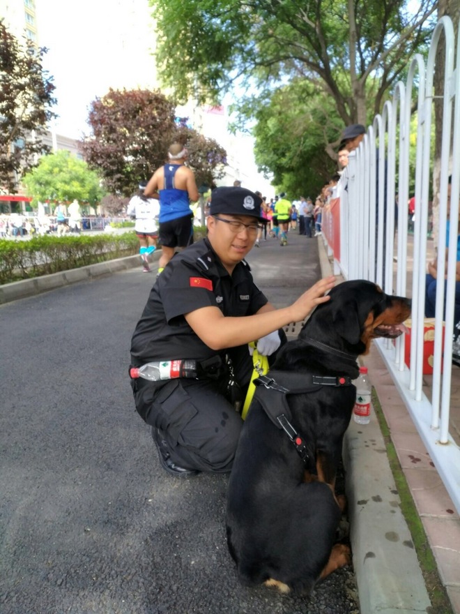 有茶清待客 无事跑兰马