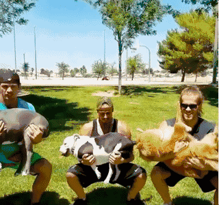 热点 | 不举铁改举狗 你们外国人真会玩