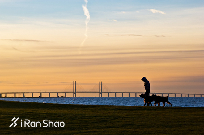 热点 | 没有虐狗的爱情故事 说说狗狗和主人的那些事