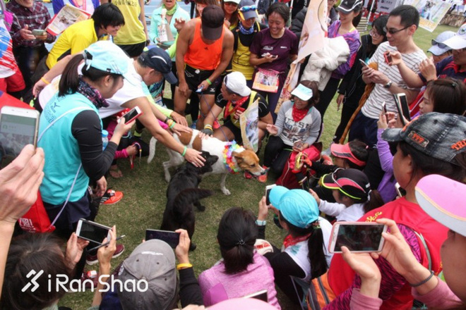 热点 | 没有虐狗的爱情故事 说说狗狗和主人的那些事