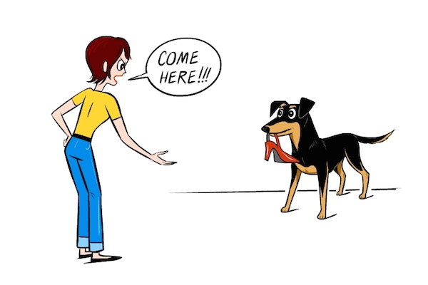 热点 | 没有虐狗的爱情故事 说说狗狗和主人的那些事