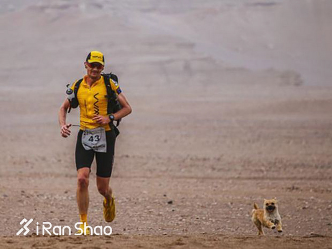 热点 | 没有虐狗的爱情故事 说说狗狗和主人的那些事