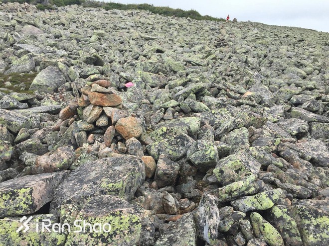 深度 | UTMA，直到大陆的尽头