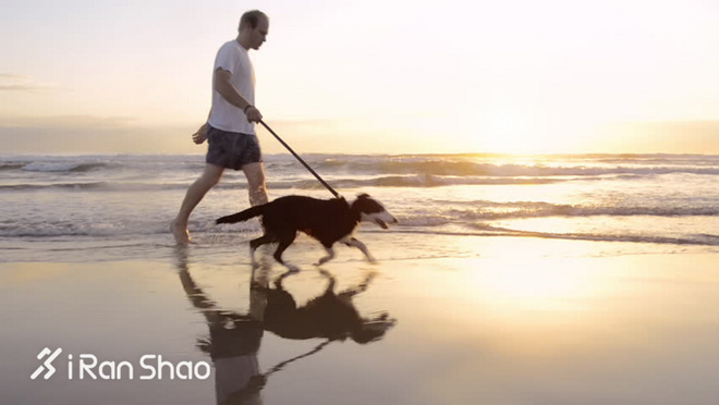 热点 | 没有虐狗的爱情故事 说说狗狗和主人的那些事