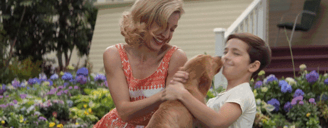 热点 | 没有虐狗的爱情故事 说说狗狗和主人的那些事