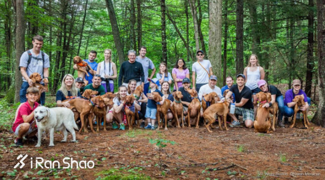 热点 | 没有虐狗的爱情故事 说说狗狗和主人的那些事