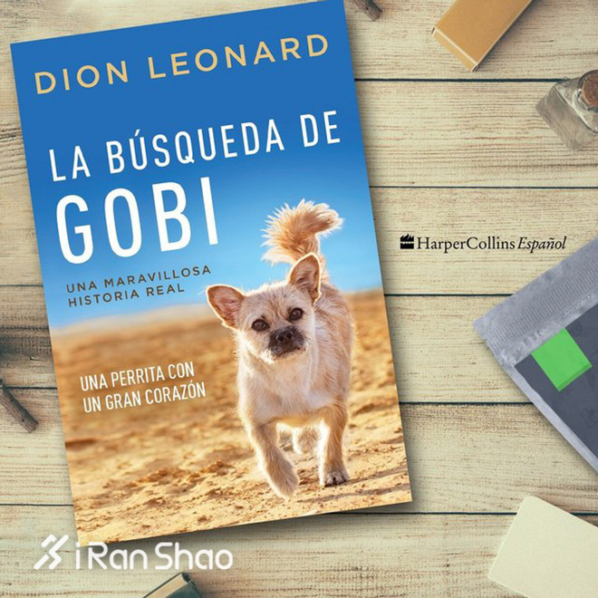 热点 | 没有虐狗的爱情故事 说说狗狗和主人的那些事