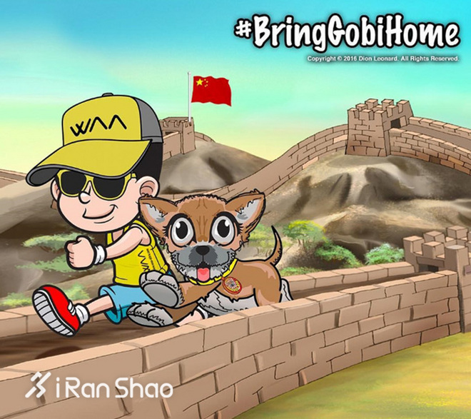 热点 | 没有虐狗的爱情故事 说说狗狗和主人的那些事