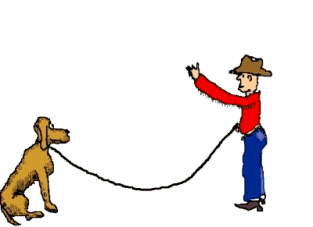 热点 | 没有虐狗的爱情故事 说说狗狗和主人的那些事