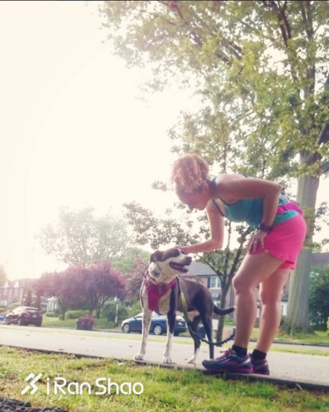 热点 | 没有虐狗的爱情故事 说说狗狗和主人的那些事