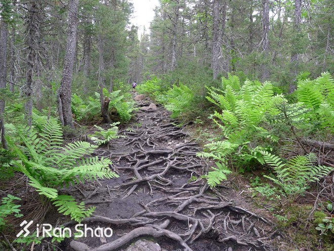 深度 | UTMA，直到大陆的尽头