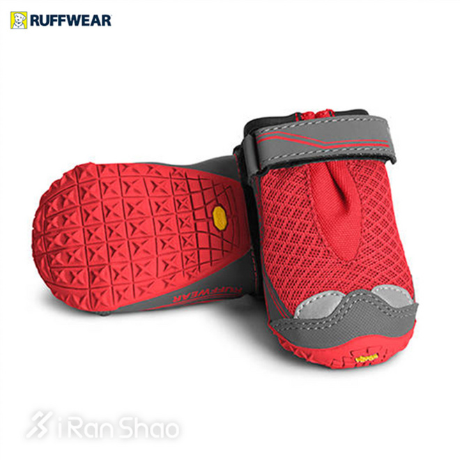 热点 | 没有虐狗的爱情故事 说说狗狗和主人的那些事