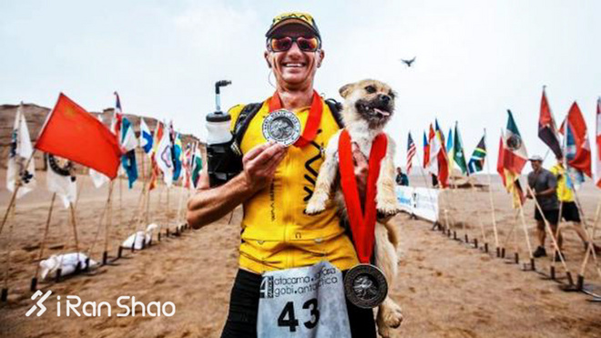 热点 | 没有虐狗的爱情故事 说说狗狗和主人的那些事