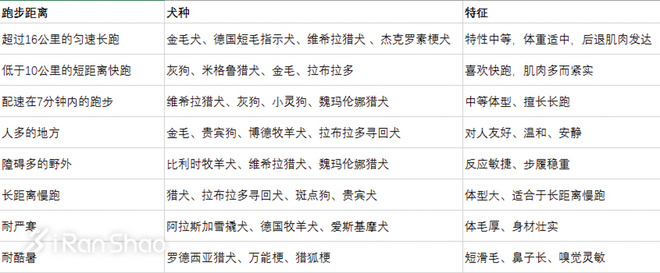 热点 | 没有虐狗的爱情故事 说说狗狗和主人的那些事