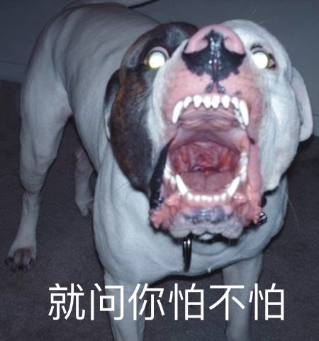 深度 | Runner VS Animal 遇见你就跑