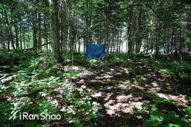 深度 | UTMA，直到大陆的尽头