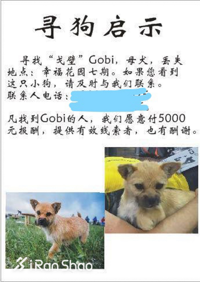 热点 | 没有虐狗的爱情故事 说说狗狗和主人的那些事