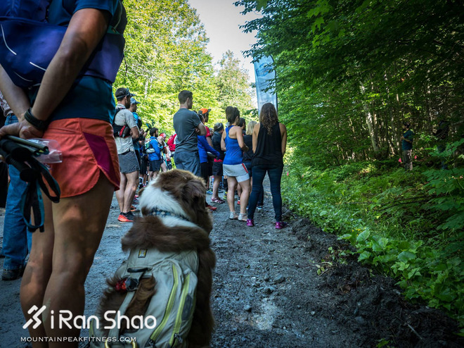 深度 | UTMA，直到大陆的尽头