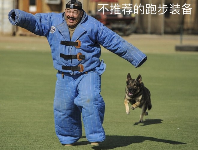 深度 | Runner VS Animal 遇见你就跑