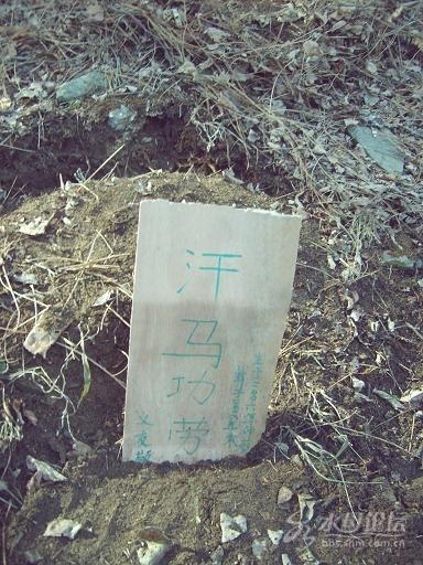 沉痛悼念我的第一双跑鞋