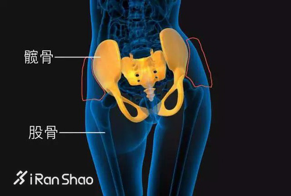 热点 | 性感潮流新指标 Hip Dip臀部凹陷