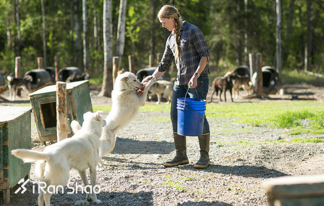 热点 | 没有虐狗的爱情故事 说说狗狗和主人的那些事