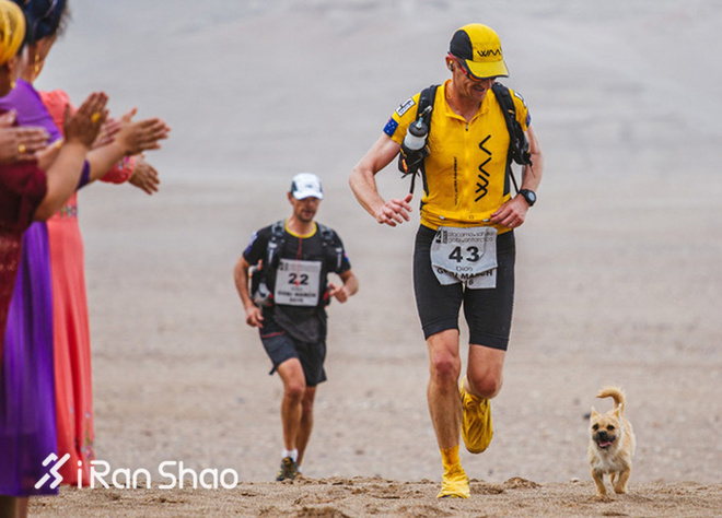 热点 | 没有虐狗的爱情故事 说说狗狗和主人的那些事