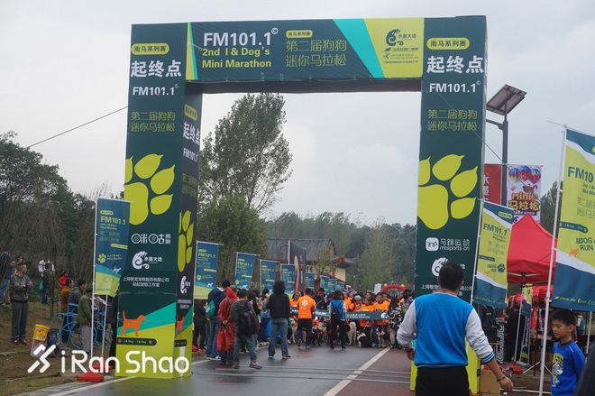 热点 | 没有虐狗的爱情故事 说说狗狗和主人的那些事