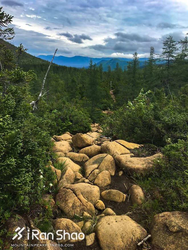 深度 | UTMA，直到大陆的尽头