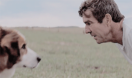 热点 | 没有虐狗的爱情故事 说说狗狗和主人的那些事