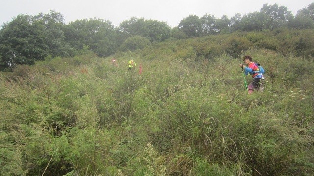 2016 RW50五岳寨越野 我的第一个越野赛