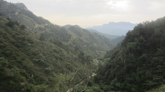 2016 RW50五岳寨越野 我的第一个越野赛